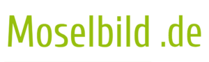 Logo Moselbild